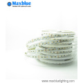 360LEDs Reel 5050 RGBW 4-en-1 bande flexible LED